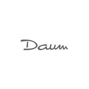 logo-daum