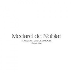 logo-medard