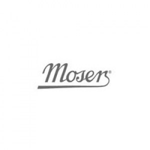 logo-moser6